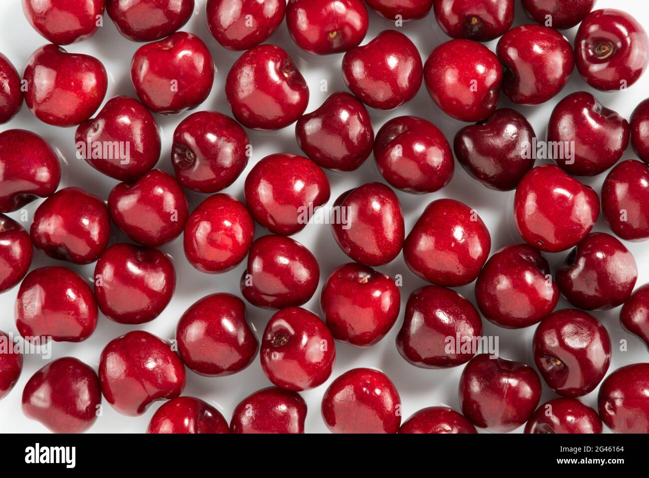 Ciliegie rosse su bianco, design per sfondi e texture Foto Stock