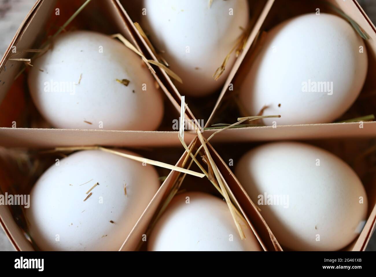 Uova bianche fatte in casa in un vassoio di legno Foto Stock