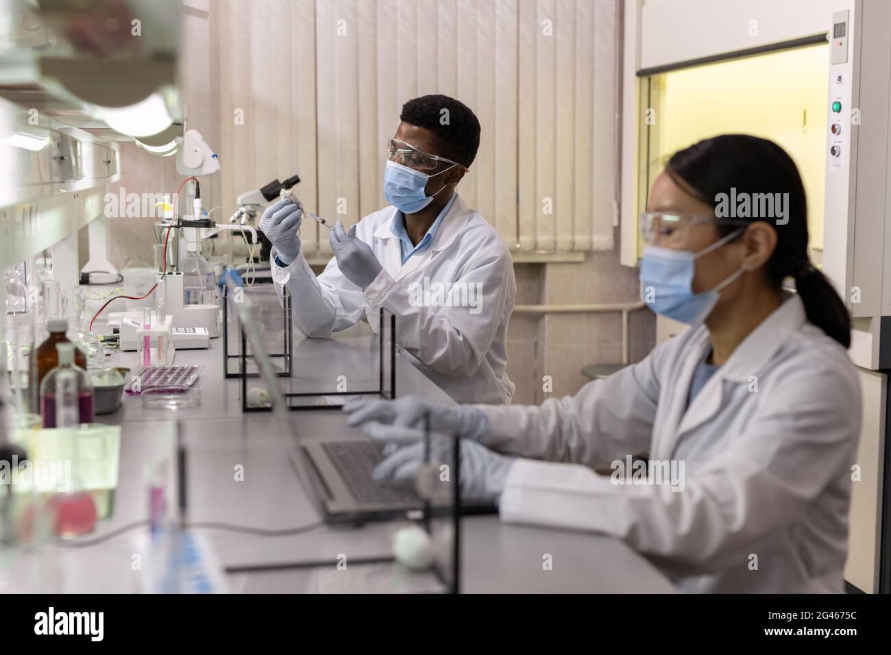 Uno dei chimici con il topo bianco che esamina il nuovo vaccino in laboratorio Foto Stock