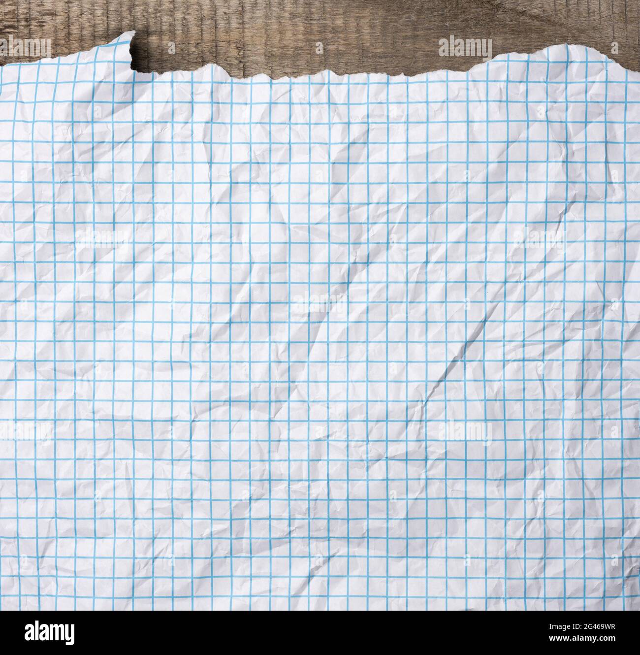 Carta bianca sminuzzata in gabbia, linee blu, taccuino scolastico Foto Stock