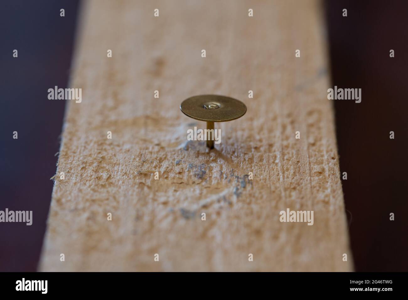 perno di disegno Foto Stock