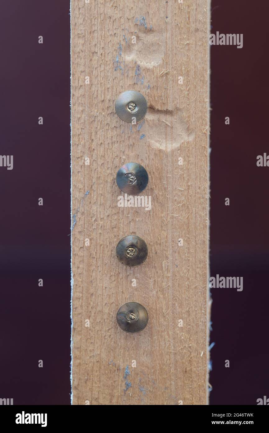 perno di disegno Foto Stock