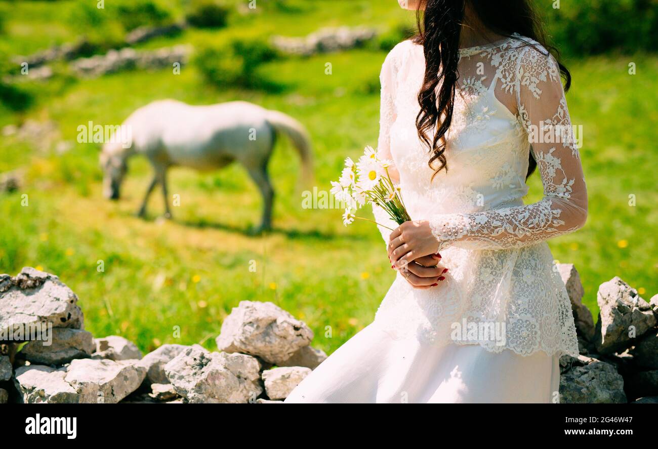 Wedding bouquet di margherite nelle mani della sposa. Nozze in Foto Stock