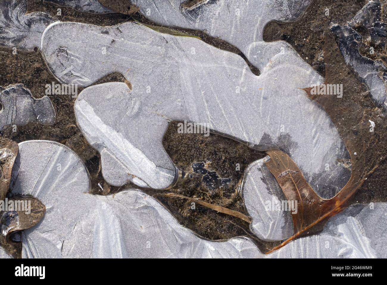 Struttura della superficie ghiacciata Foto Stock