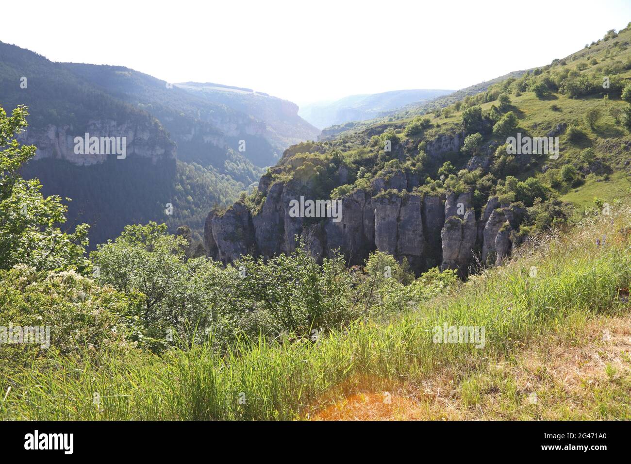 Caos di Montpellier-le-Vieux formazioni rocciose calcaree, Gole del Jonte e dei Grands Causses, top sito Occitania presto essere elencato Grand Site di Francia Foto Stock