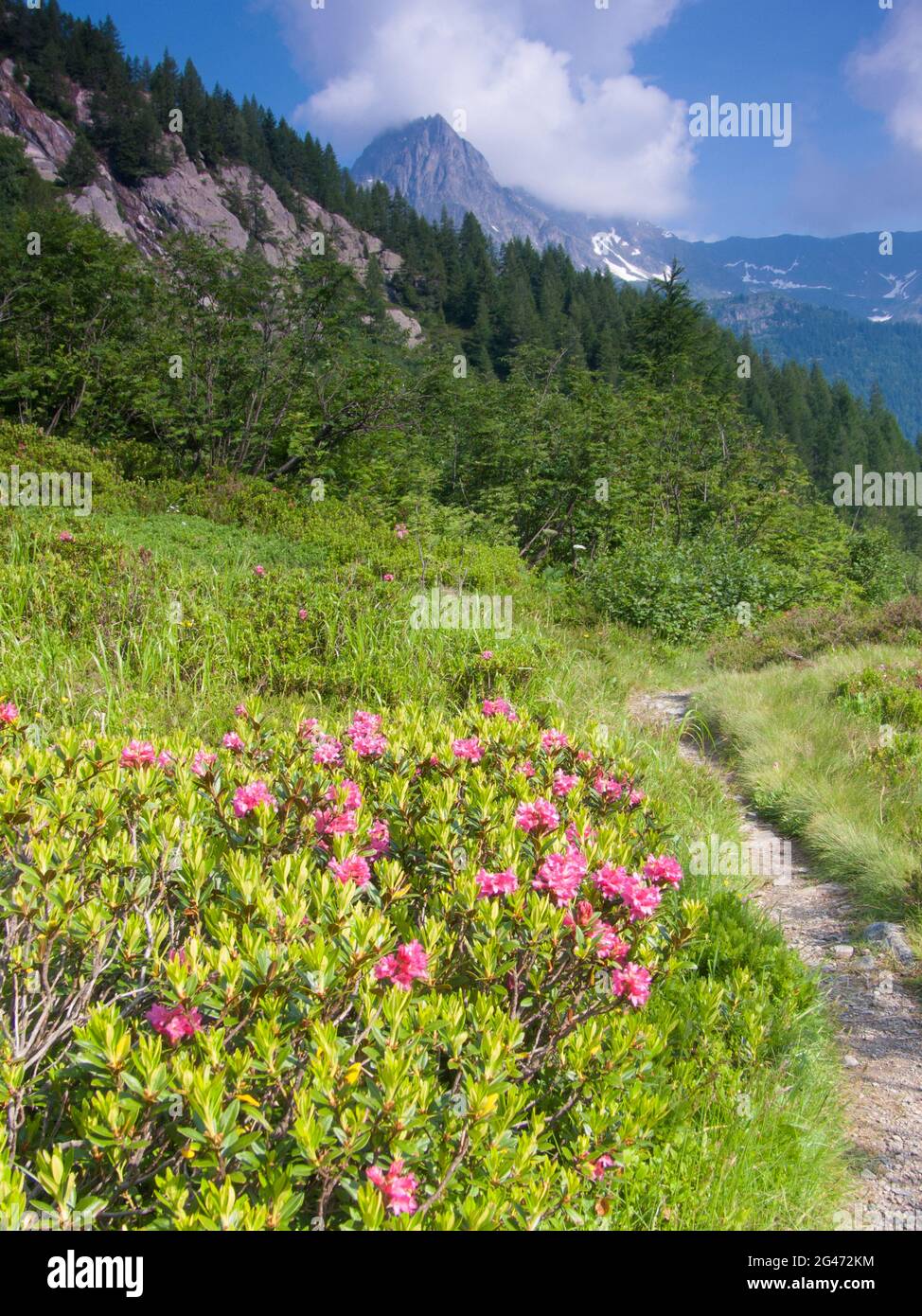 Col des montets Foto Stock