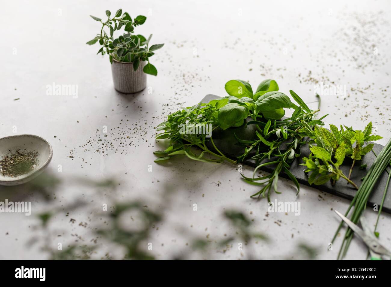 Erbe fresche dal giardino che viene tagliato su una tavola di ardesia Foto Stock