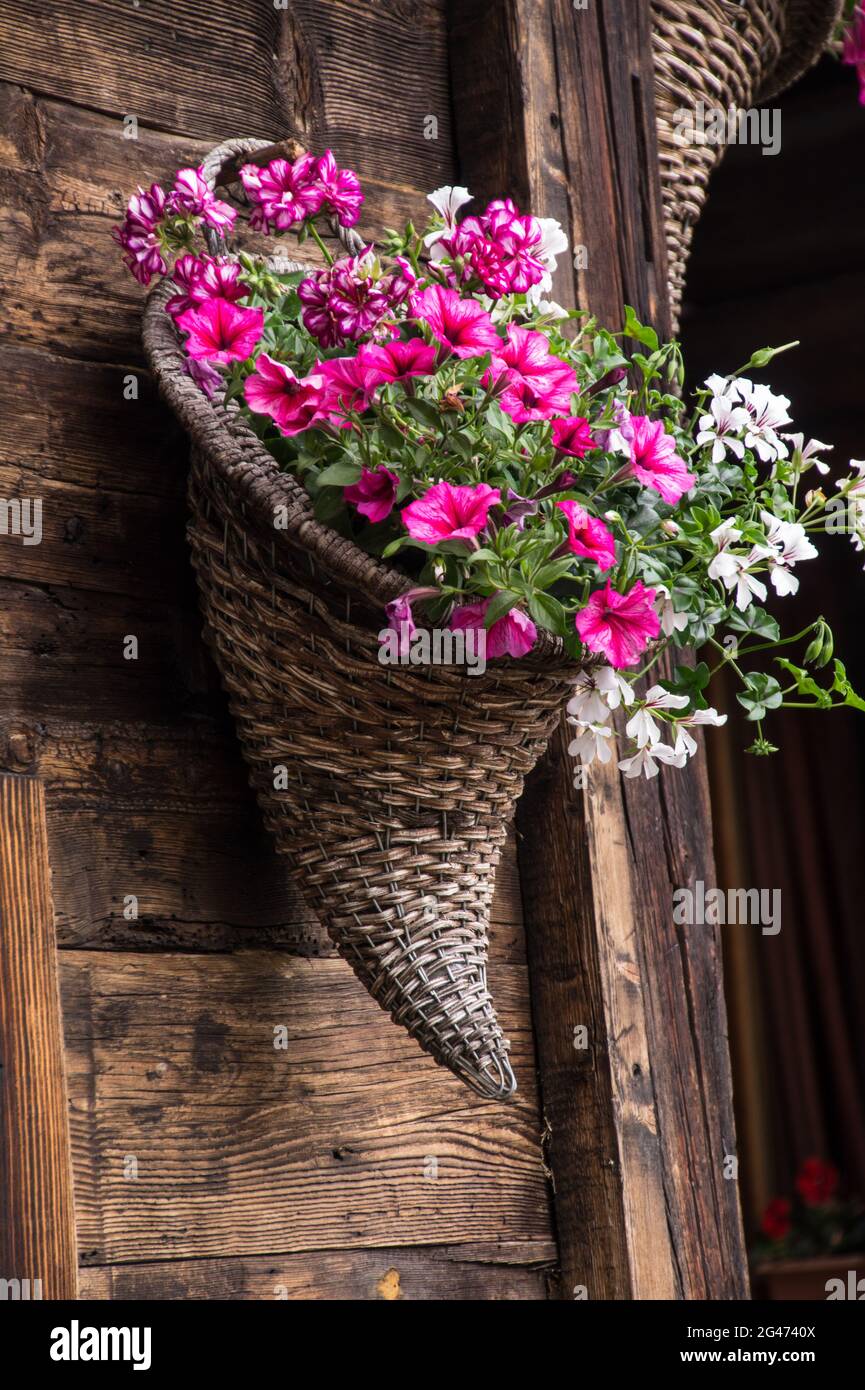 Trelechamp Foto Stock