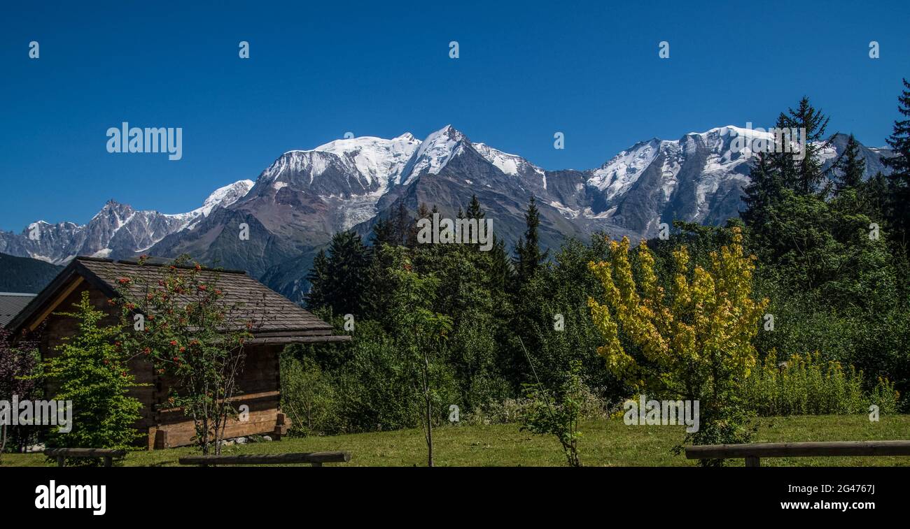 Massiccio del monte bianco vue des communialles Foto Stock