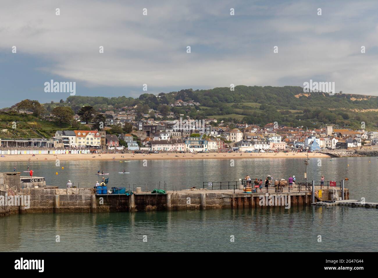 La città di Lyme Regis sulla costa della Manica preso dal Cobb e mostrando le mura del porto, Dorset, Inghilterra, Regno Unito Foto Stock