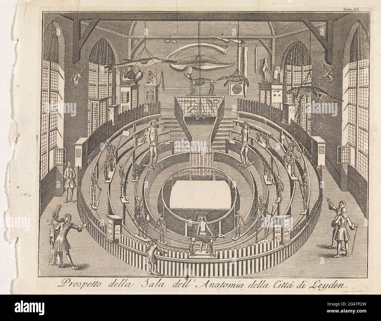 Il Teatro anatomico Leida; Prospetto della sala dell' Anatomia della Città di Leyden. Teatro anatomico dell'Università di Leida. Numerato a destra: Tom Xi. Foto Stock