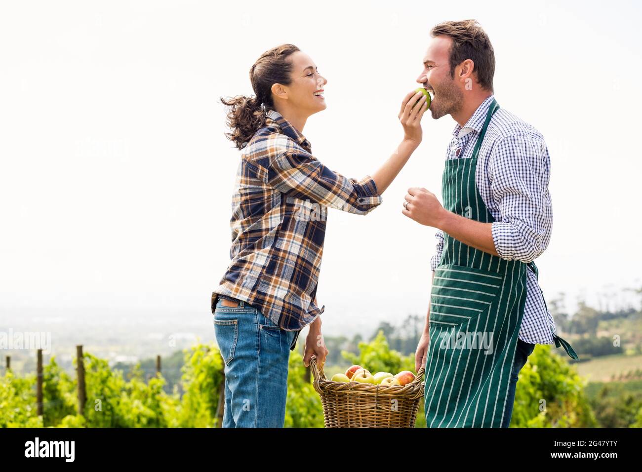 Donna che alimenta la mela all'uomo in vigna Foto Stock