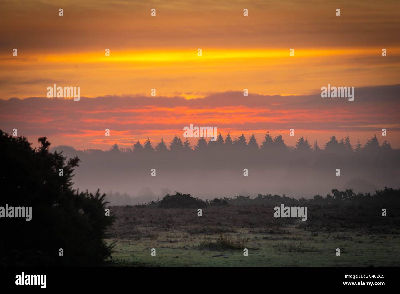 New Forest fuoco nel cielo Foto Stock