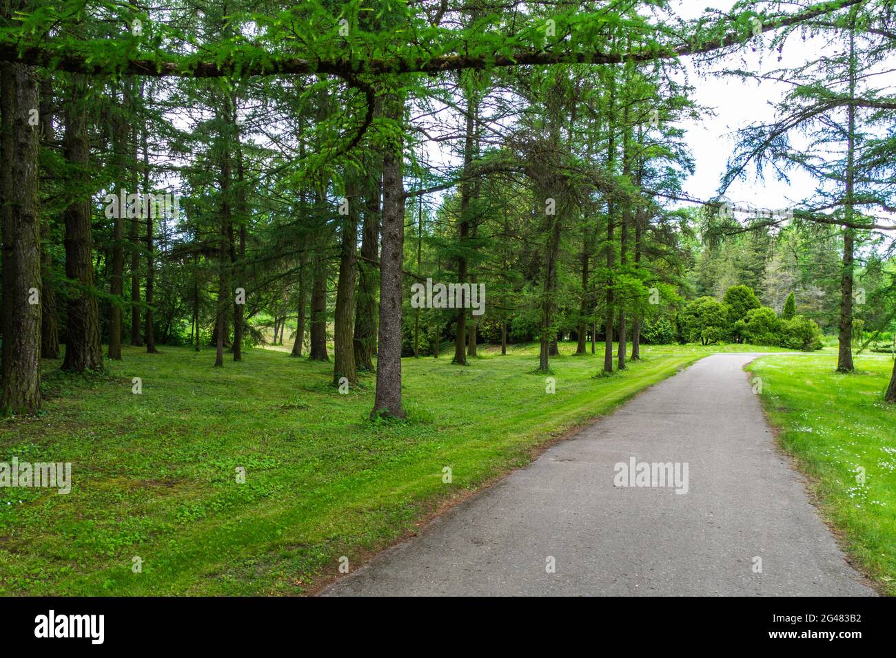 Un percorso che conduce attraverso il Parco in una giornata di sole Foto Stock