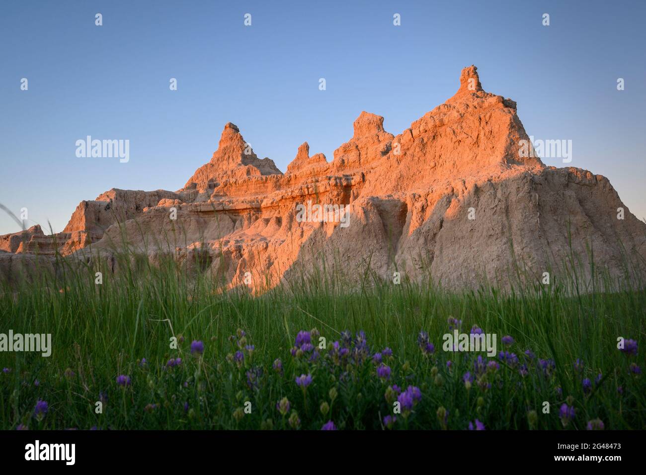 Prateria e formazione rocciosa delle Badlands su Window Trail nel Badlands National Park, South Dakota. Foto Stock