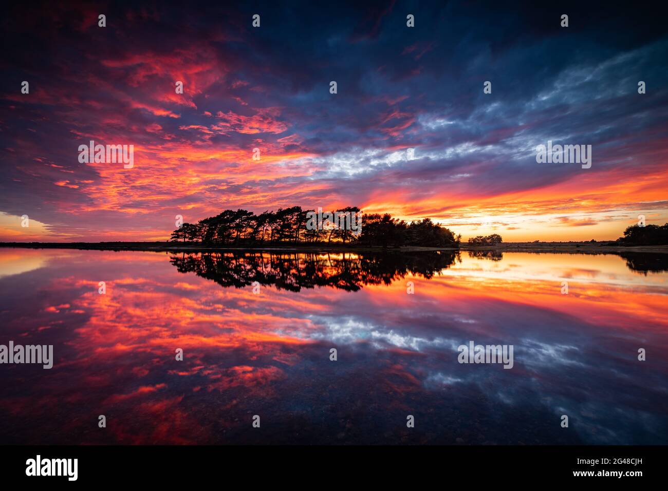 Hatchet Pond, New Forest. Foto Stock