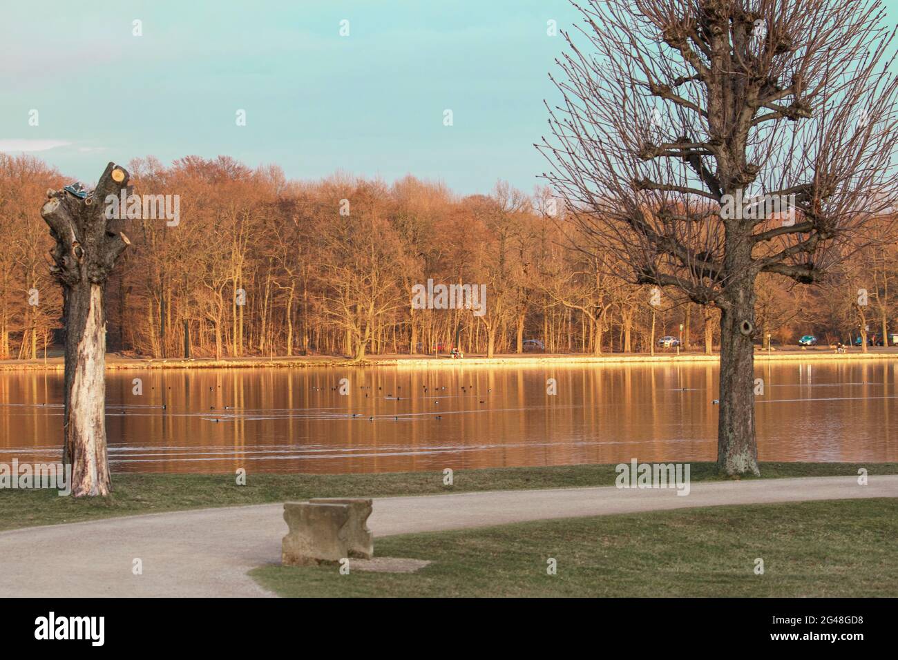 Parco illuminato al sole; Parco in serata; parco serale; luce dorata in serata; parco rilassante; parco europeo; parco tedesco; parco della battaglia delle nazioni Foto Stock