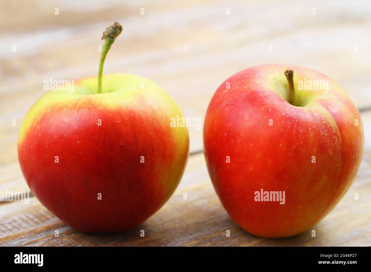 Due mele rosse e gialle su superficie di legno con spazio per la copia Foto Stock