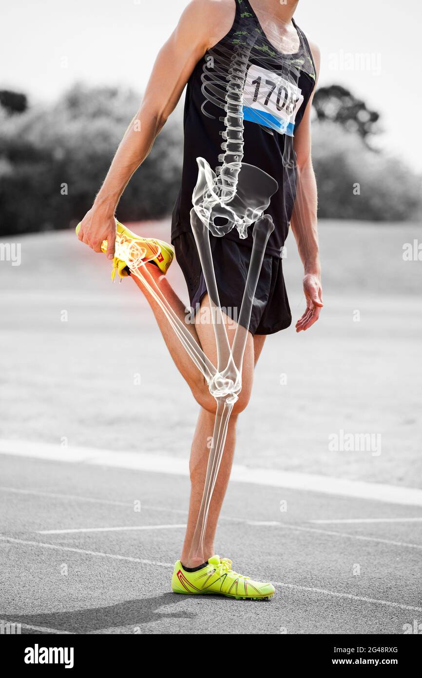 Le ossa evidenziate dell'atleta che si allunga sulla pista da corsa Foto Stock