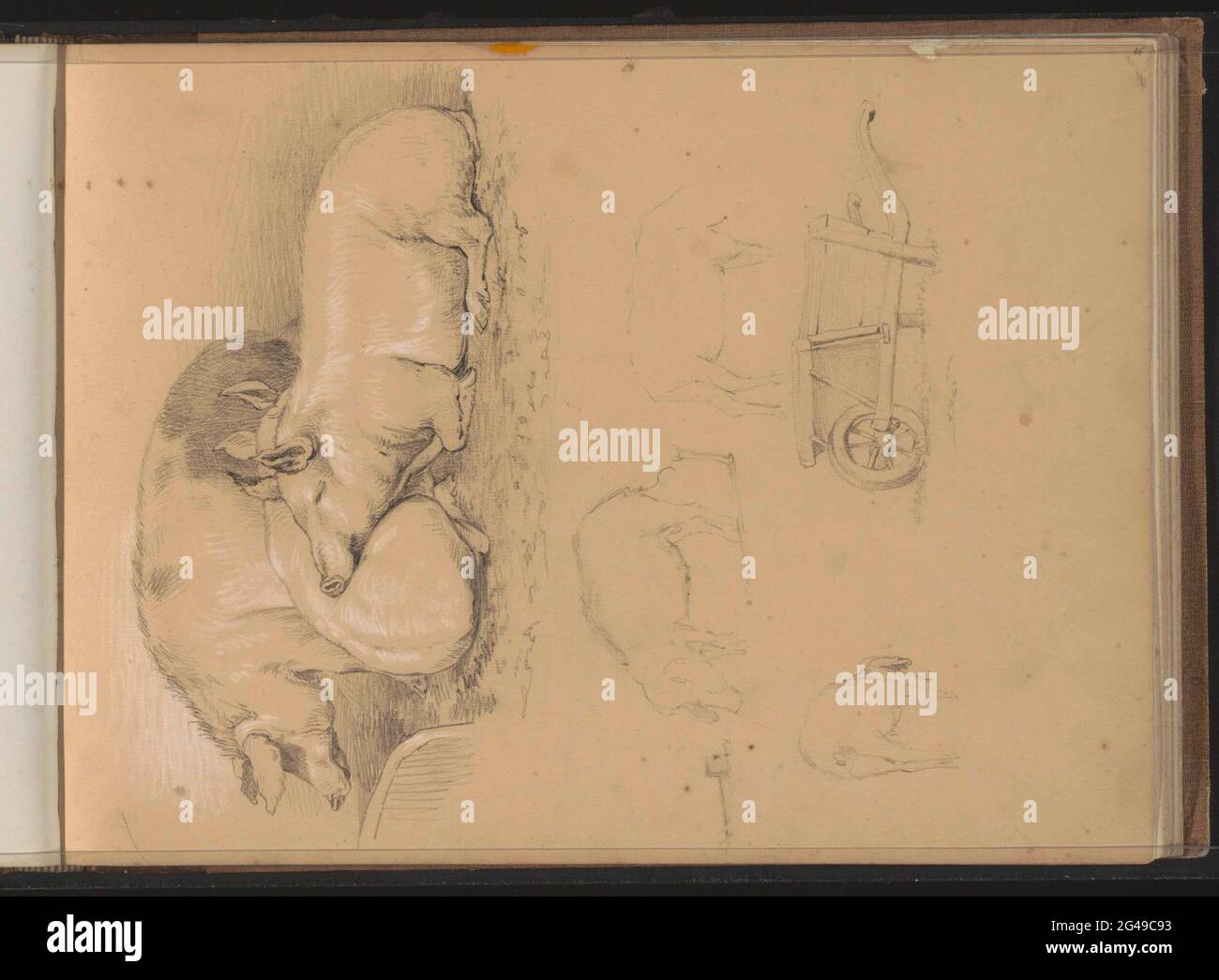 Maiali e un carretto a mano. La foglia 46 recto da un libro di schizzo con 77 fogli. Foto Stock