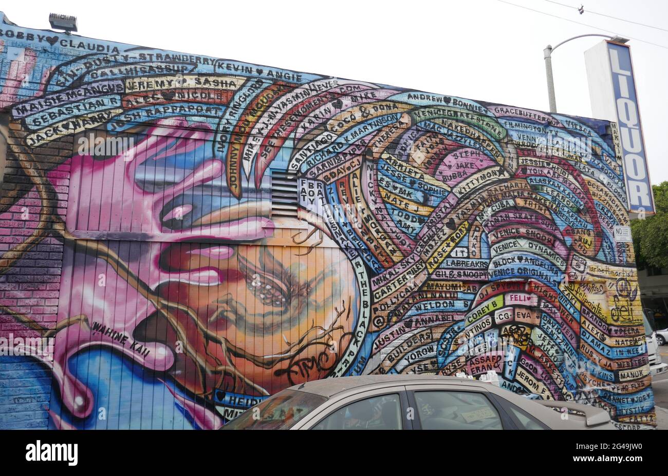 Venezia, California, USA 18 giugno 2021 una visione generale dell'atmosfera di Street Art Murale a Venice Beach a Venezia, California, USA. Foto di Barry King/Alamy Stock foto Foto Stock