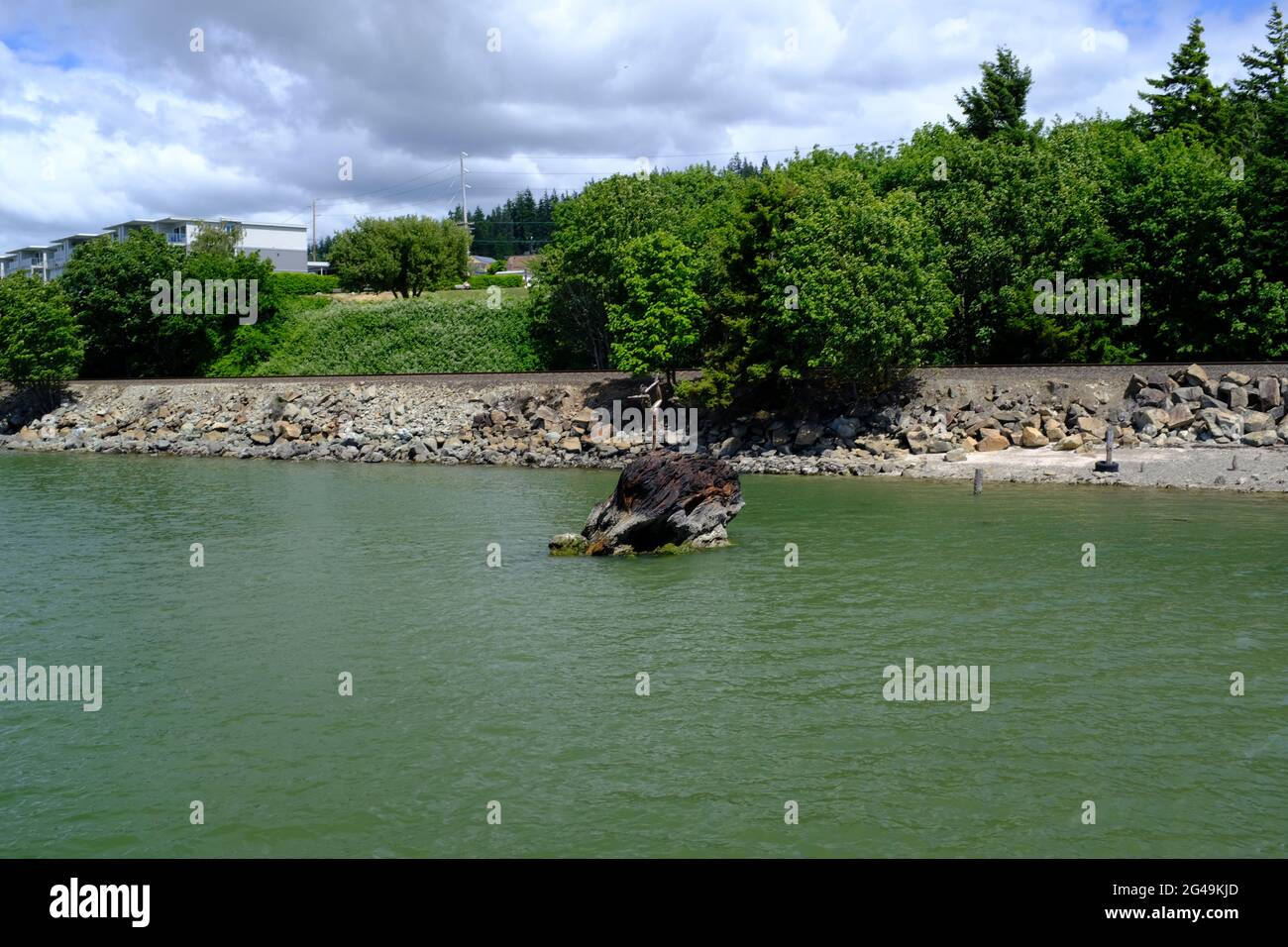 Statua in Boulevard Park a Bellingham, Washington Foto Stock