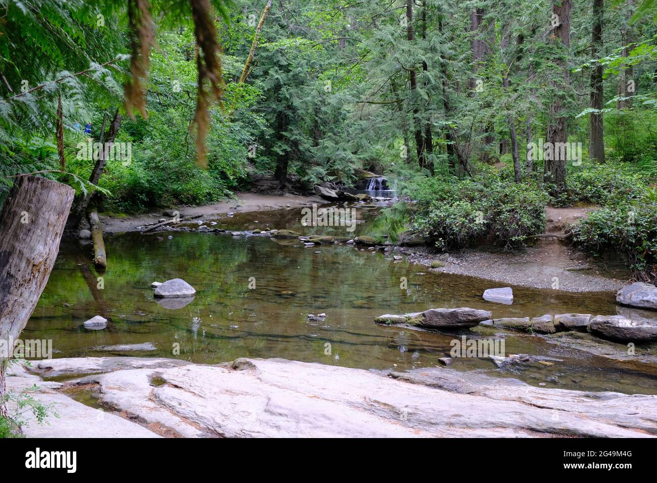 Cascate di Whatcom Falls Park a Bellingham, Washington Foto Stock