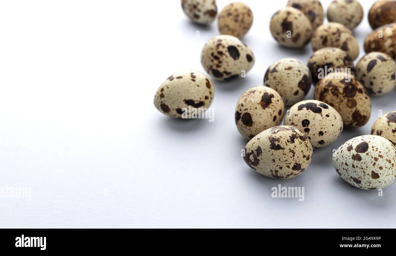 Uova fresche di quaglia isolate su sfondo bianco con spazio per le copie Foto Stock