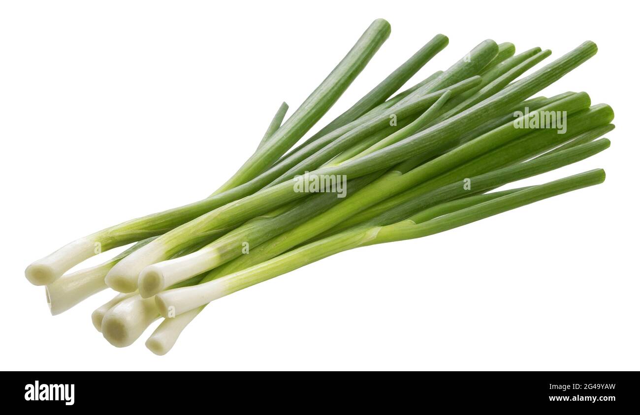 Cipolla verde, erba cipollina fresca isolata su fondo bianco Foto Stock
