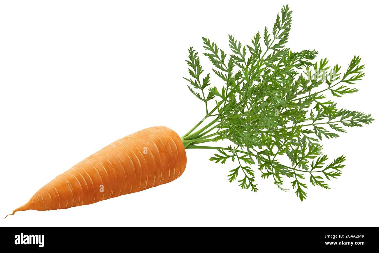 Tutta una carota con foglie isolati su sfondo bianco Foto Stock