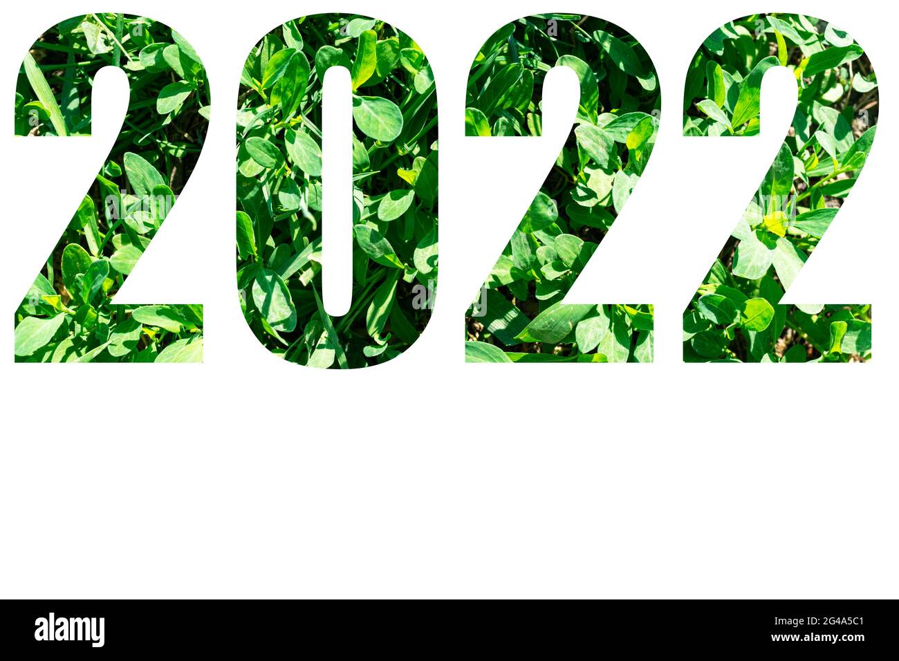 Carta anno nuovo. Numeri dell'anno 2022 da erba verde isolata su sfondo bianco. Elementi per il tuo progetto. Foto Stock