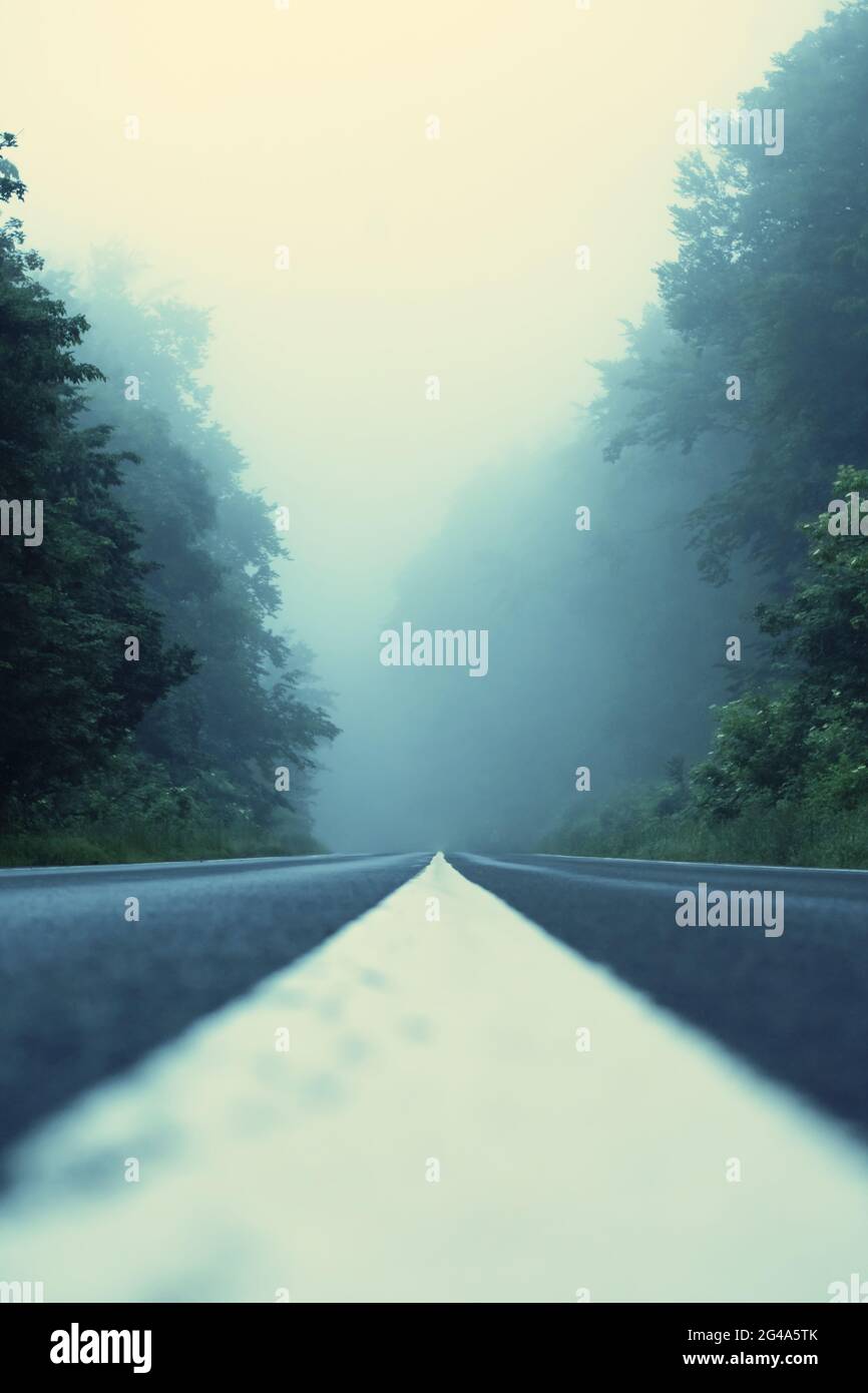 Immagine della nebbia in natura Foto Stock