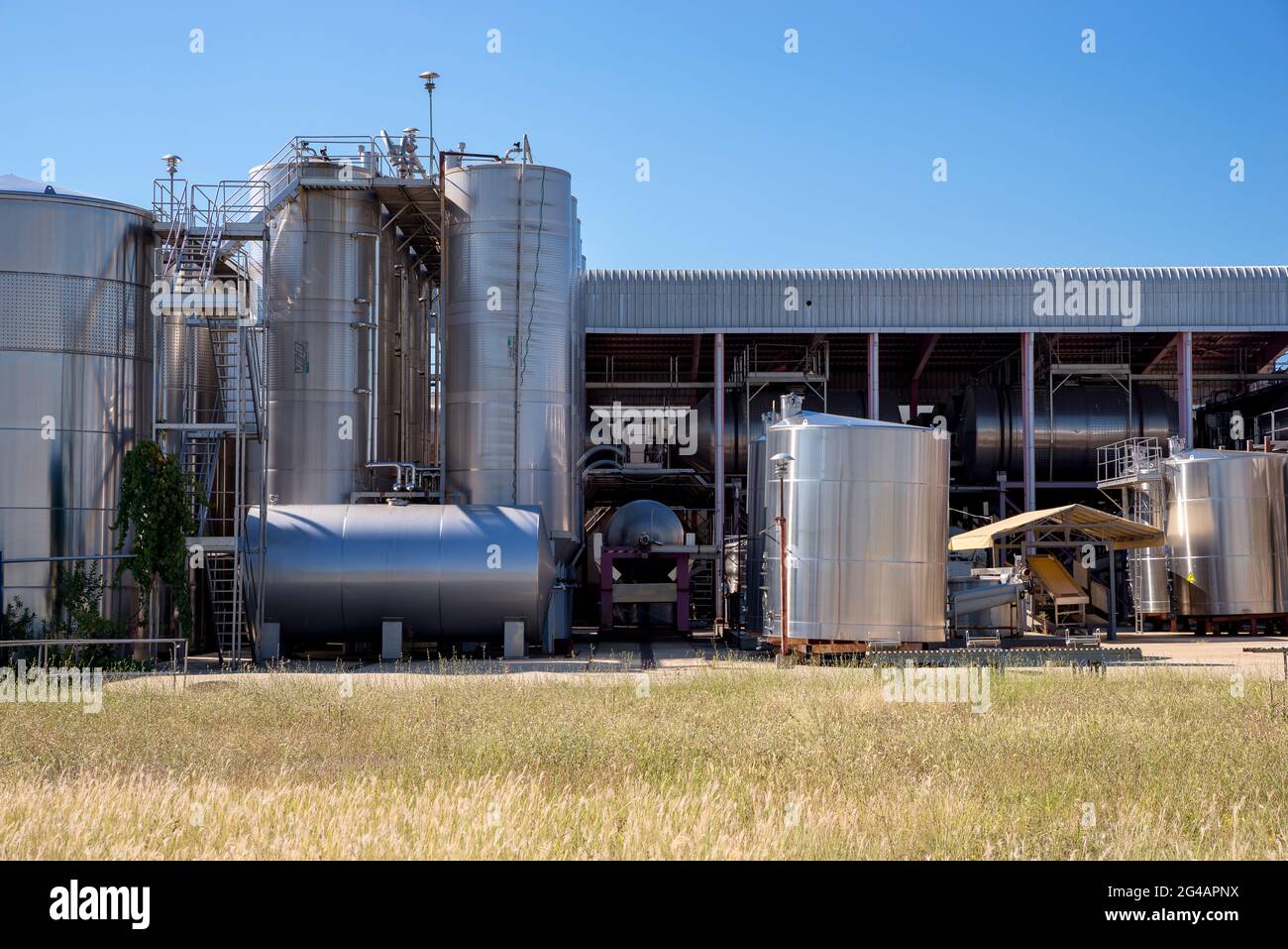 Moderne attrezzature per la produzione di vino Foto Stock