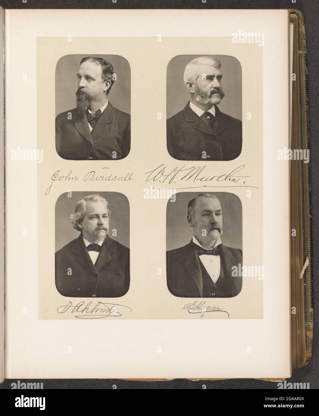 Ritratti di quattro membri del Senato dello stato di New York. In alto a sinistra di John Birdsall, in alto a destra William H. Murtha, a sinistra Frederick A. Schroeder, in basso a destra Edward Hogan. Foto Stock