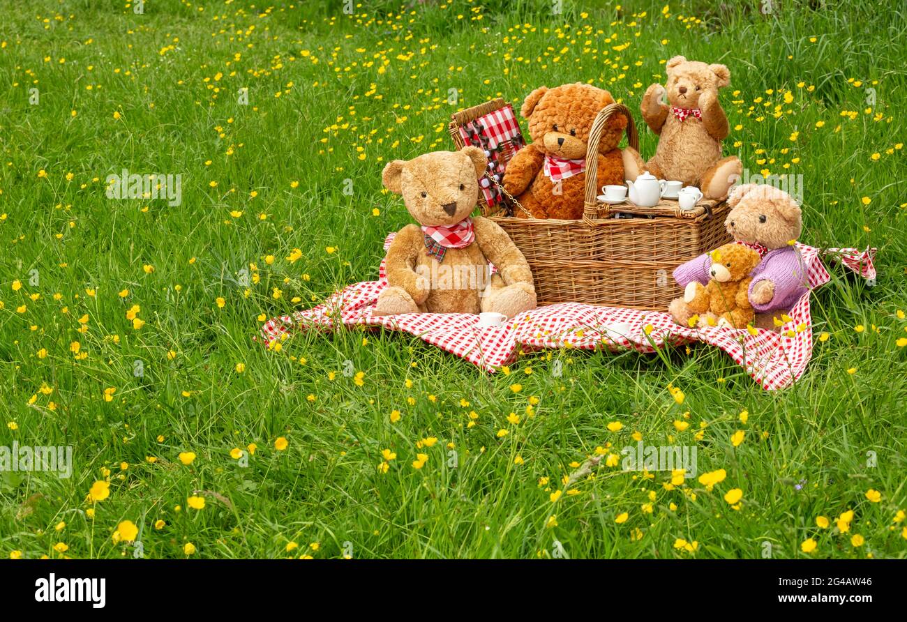 Picnic all'orso di Teddy. Cinque adorabili orsi goditi un pic-nic nei prati di Swaledale con coloratissime coppe gialle. Tradizionale cesto di vimini An Foto Stock