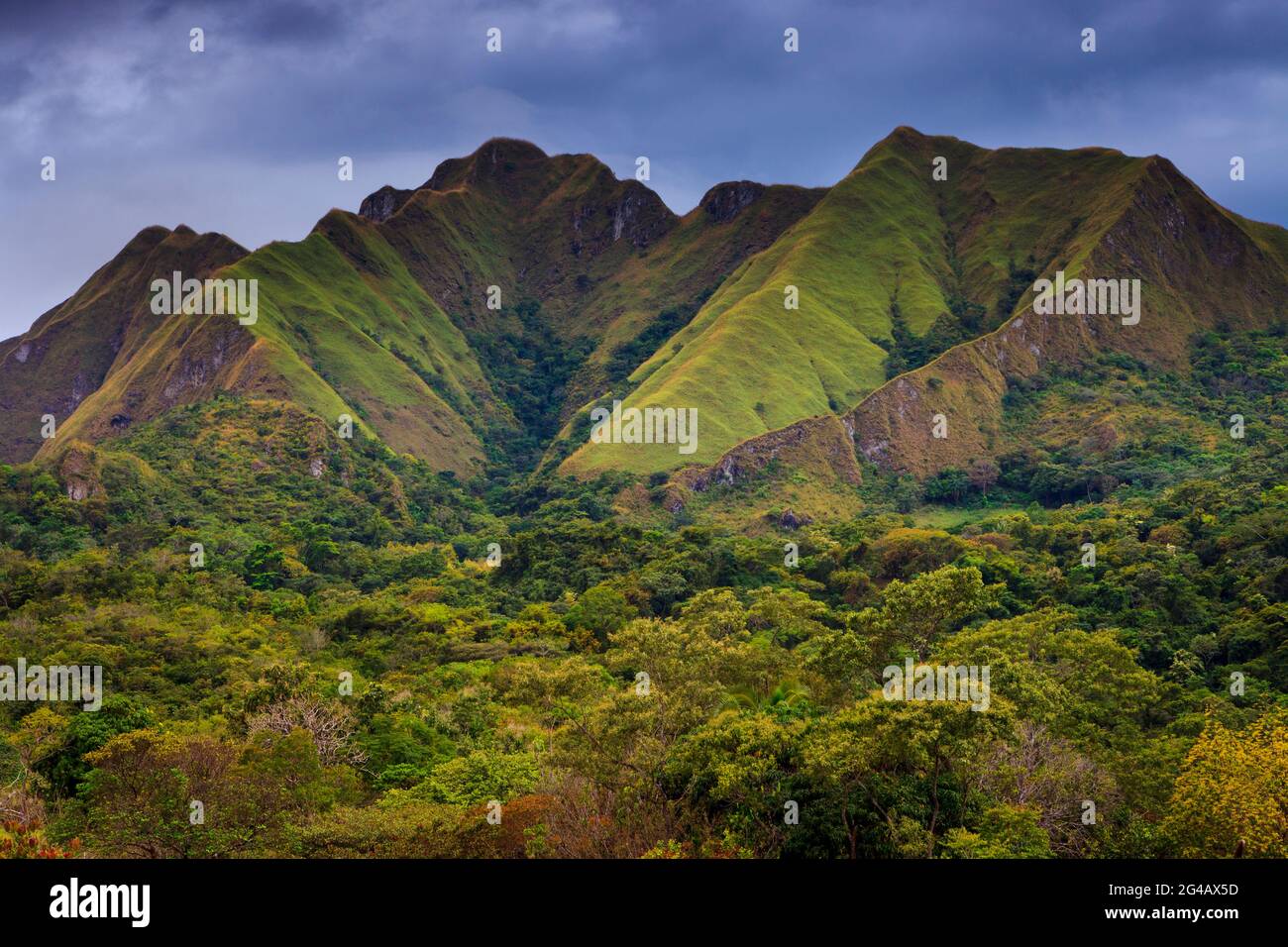 Panama paesaggio sulle belle montagne Cerros los Picachos de Ola, provincia di Cocle, Repubblica di Panama, America Centrale. Foto Stock