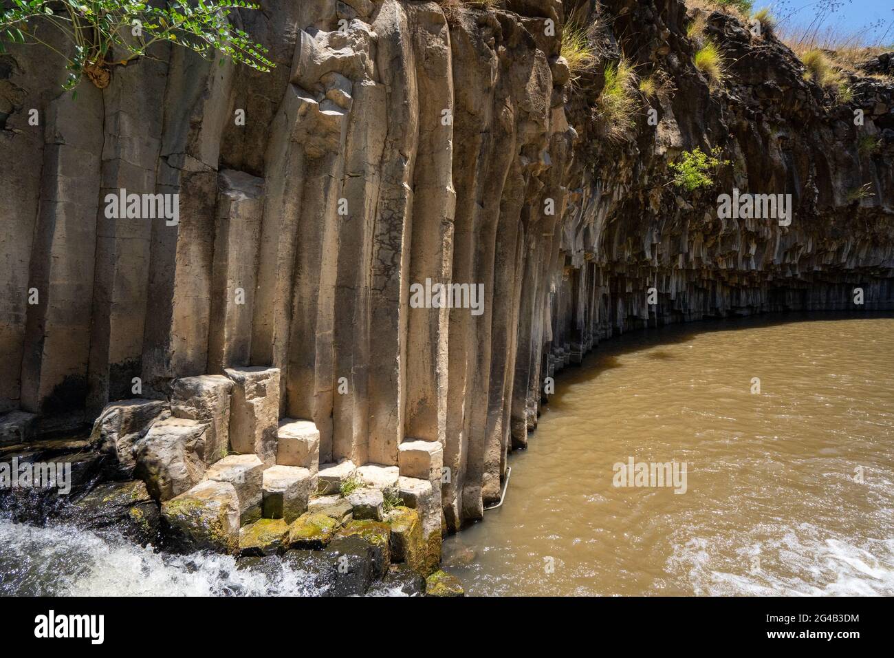 Israele, Golan Heights, Foresta di Yehudiya Riserva Naturale Meshushim Pool - piscina esagonale così chiamato a causa della forma delle rocce basaltiche nella scogliera in Foto Stock