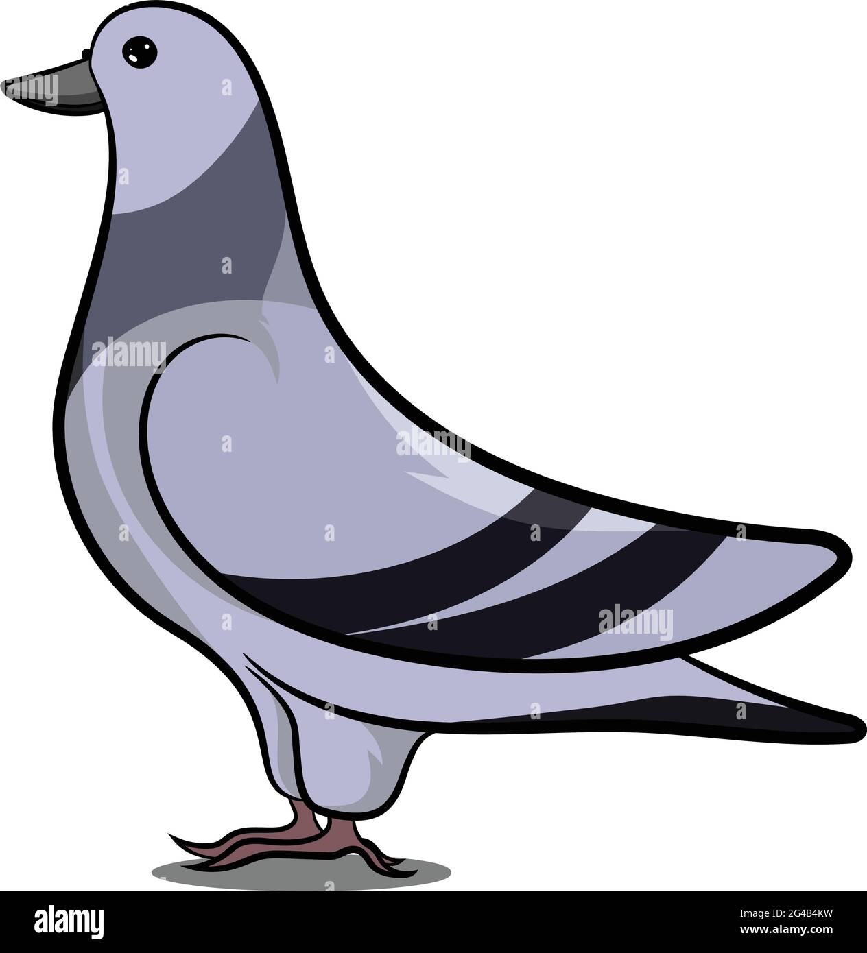 Pigeon in piedi con ombra. Uccello grigio. Uccelli di diverse parti del mondo. Uccelli comuni. Icona dell'uccello illustrazioni vettoriali Doodle isolato. Illustrazione Vettoriale