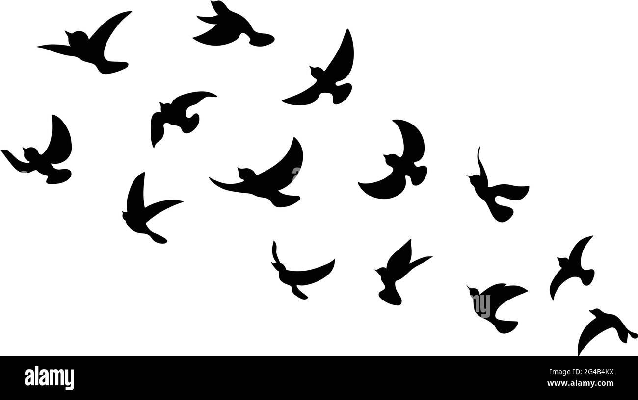 Black Bird Silhouette contro sfondo bianco No Sky. Uccelli di diverse parti del mondo. Uccelli comuni. Icone uccelli illustrazioni vettoriali isolate. Illustrazione Vettoriale
