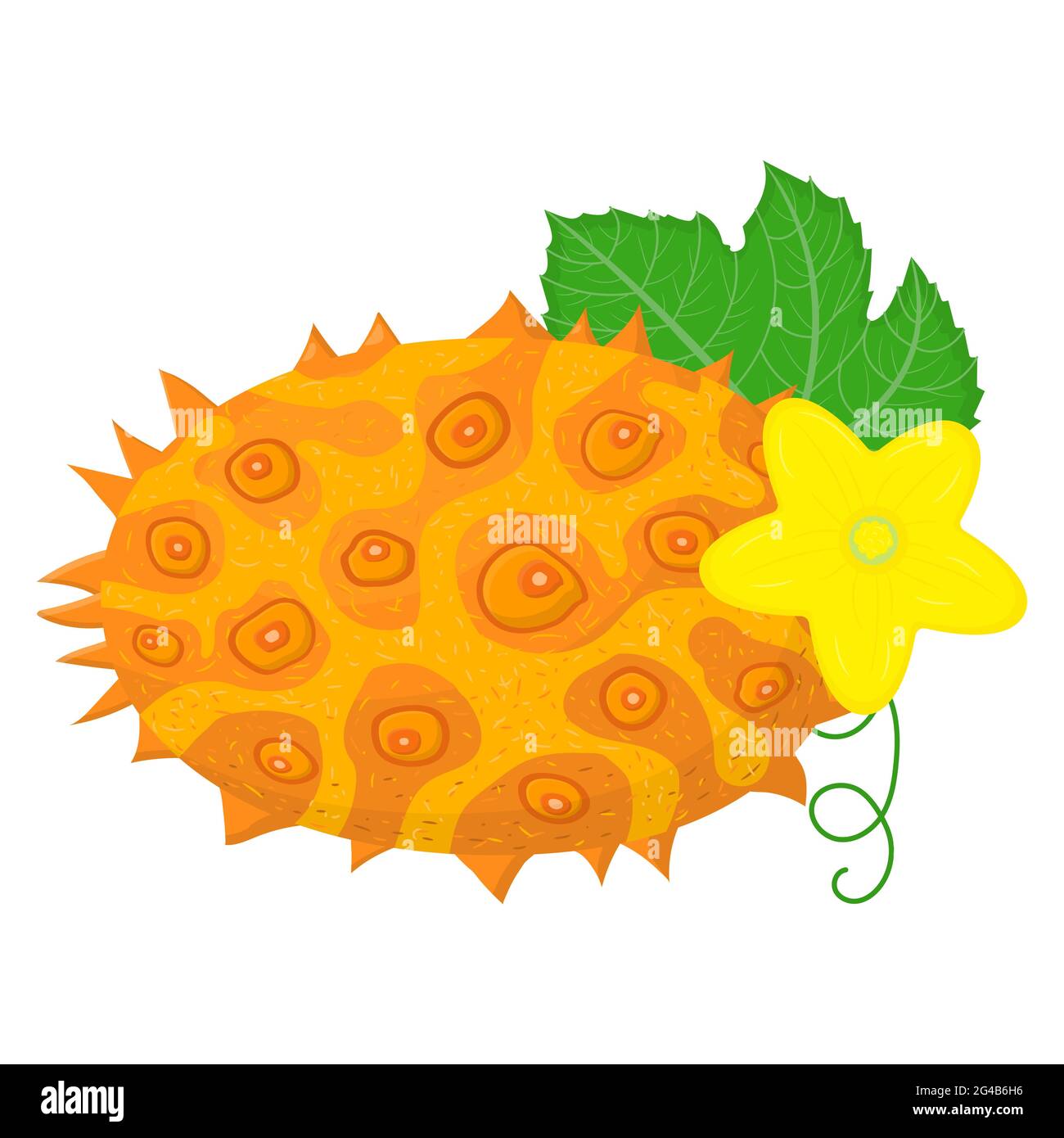 Frutto fresco intero giallo kiwano con foglie e fiori isolati su sfondo bianco. Frutti estivi per uno stile di vita sano. Frutta biologica. Stile cartone animato. Illustrazione Vettoriale