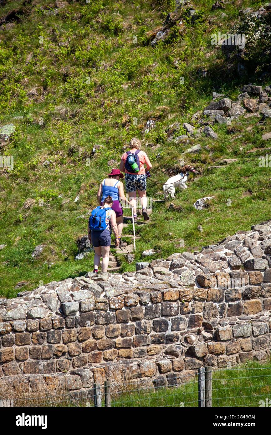 La passeggiata fino a Peel Crags a Steel Rig a piedi il muro di Adriano nazionale lungo percorso pedonale Foto Stock