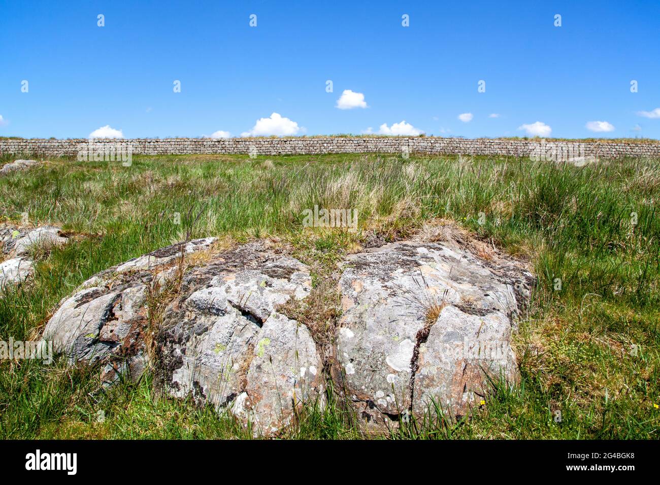 Una sezione del muro di Adriano nazionale lunga distanza sentiero pedonale Northumberland Inghilterra Foto Stock