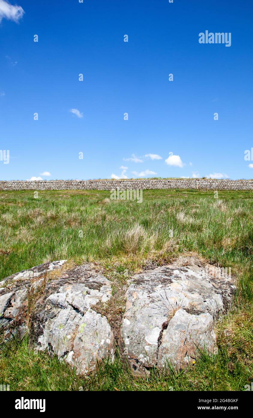 Una sezione del muro di Adriano nazionale lunga distanza sentiero pedonale Northumberland Inghilterra Foto Stock