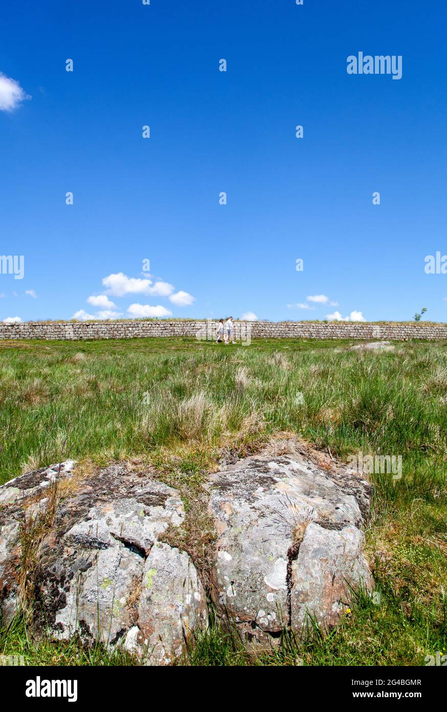 Una sezione del muro di Adriano nazionale lunga distanza sentiero pedonale Northumberland Inghilterra Foto Stock