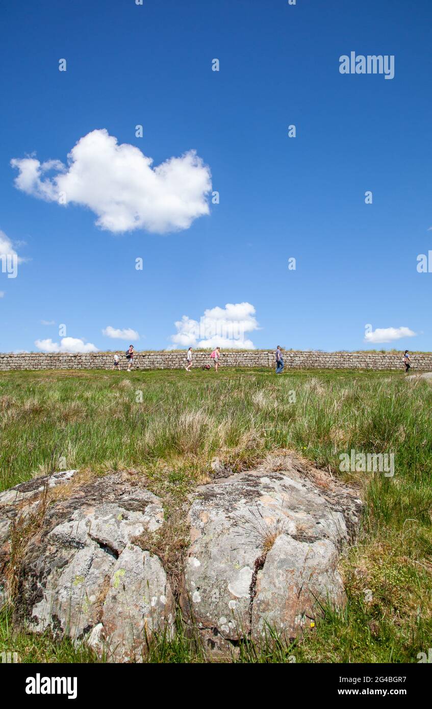 Una sezione del muro di Adriano nazionale lunga distanza sentiero pedonale Northumberland Inghilterra Foto Stock