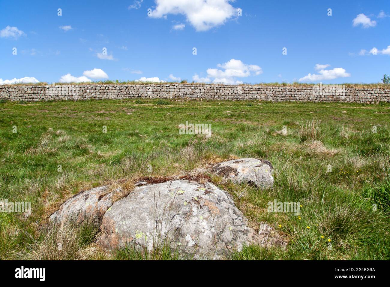 Una sezione del muro di Adriano nazionale lunga distanza sentiero pedonale Northumberland Inghilterra Foto Stock