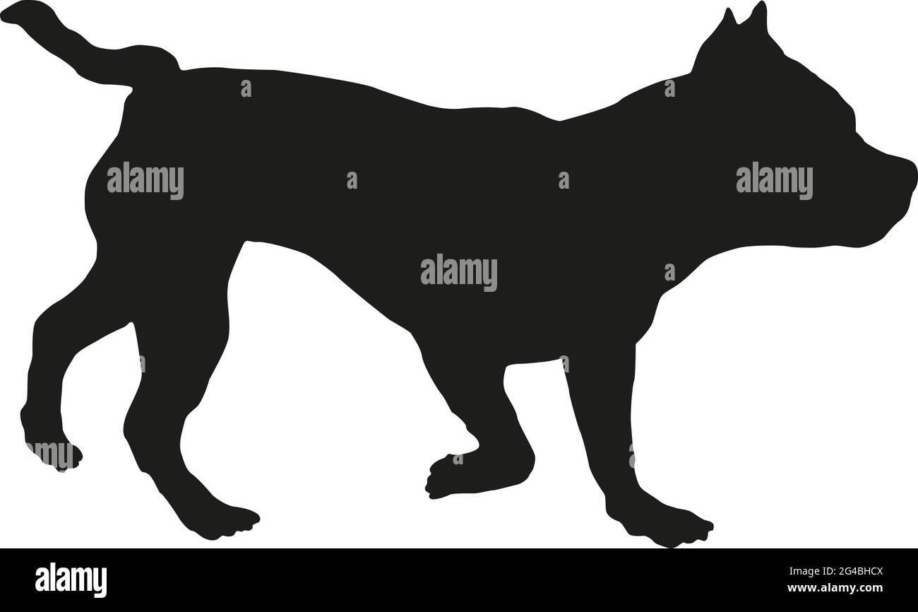 Silhouette nera per cani. Running americano puppy bullo. Animali domestici. Isolato su sfondo bianco. Illustrazione vettoriale. Illustrazione Vettoriale