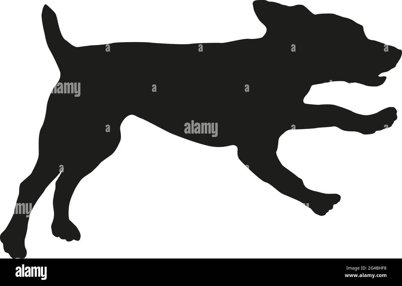 Running and jumping spaniel russo cucciolo. Silhouette nera per cani. Animali domestici. Isolato su sfondo bianco. Illustrazione vettoriale. Illustrazione Vettoriale