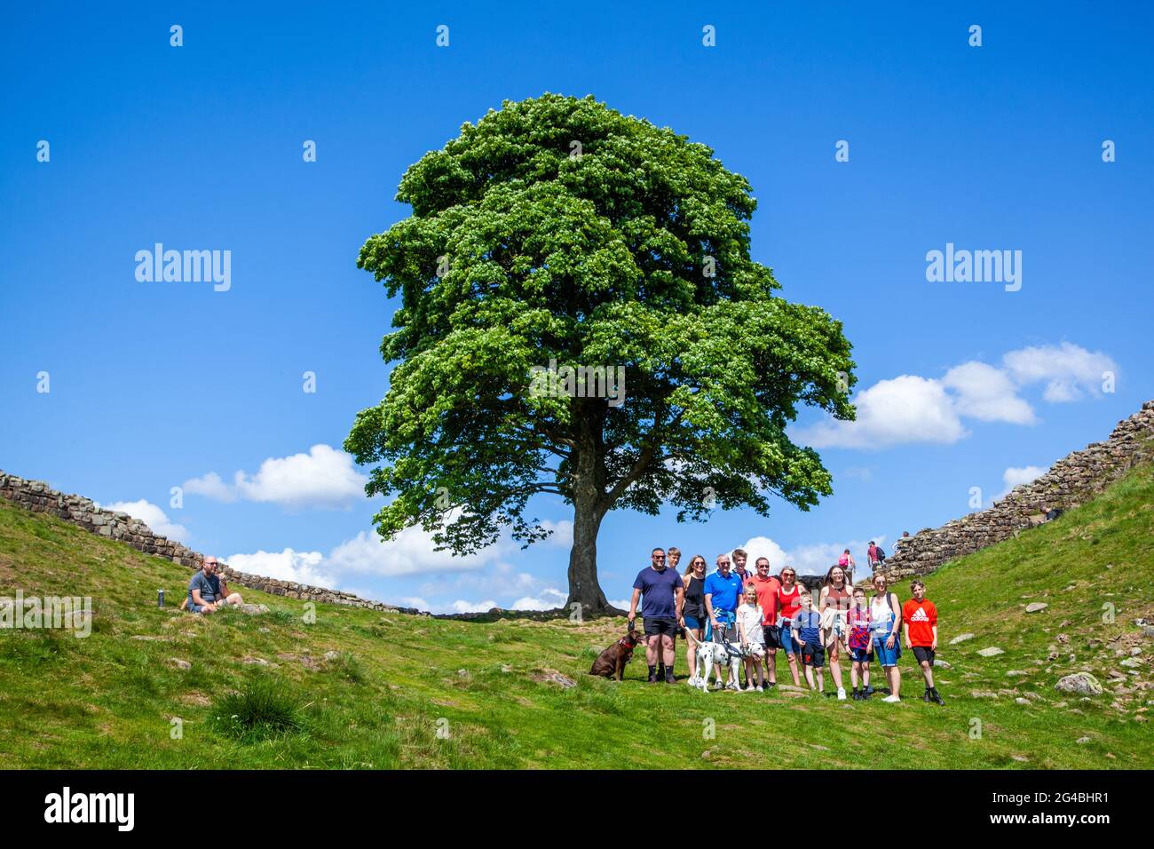 La famiglia posa per le fotografie a Sycamore Gap l'iconica vista di un singolo albero di Sycamore sul percorso nazionale a lunga distanza del Muro di Adriano Foto Stock