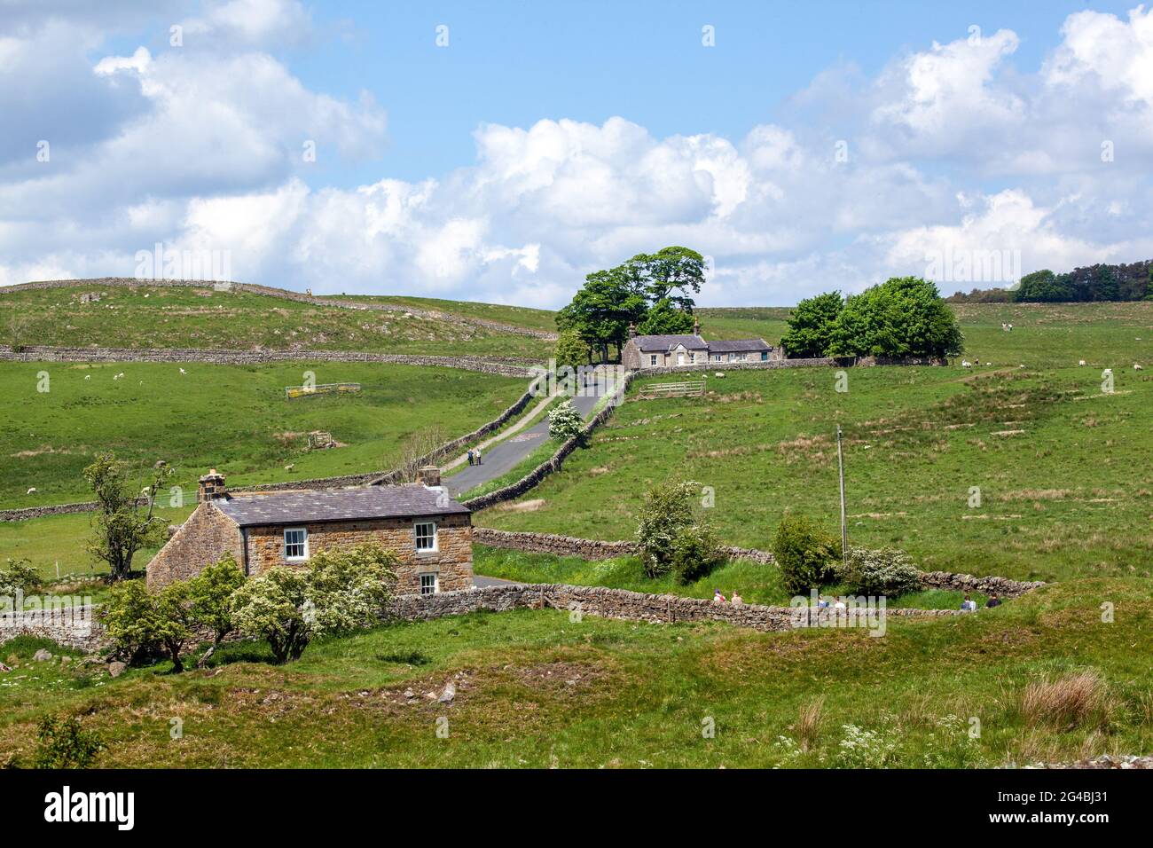 Tradizionale cottage in pietra nella campagna del Northumbria sulla strada da una volta prodotta a Steel Rig e Hadrians muro sentiero Foto Stock
